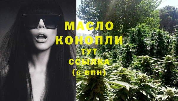 apvp Богородицк