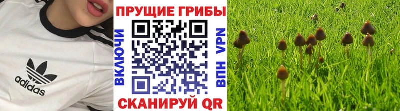 кракен зеркало  Баксан  Галлюциногенные грибы ЛСД 